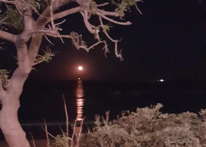 公寓 Terrazza Cieli Immensi